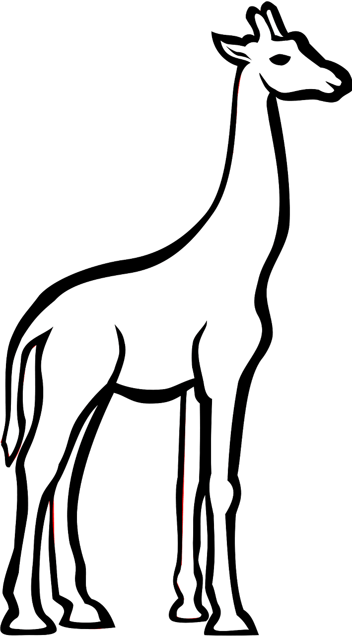 Giraffe - outline