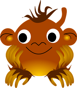 Cute baby monkey