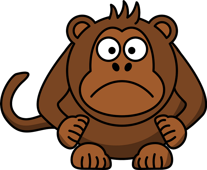 Sad monkey
