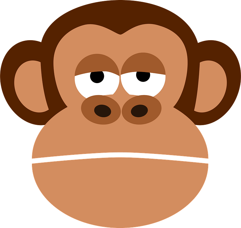 Monkey face