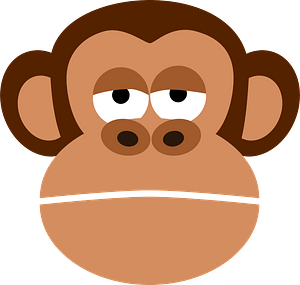 Monkey face