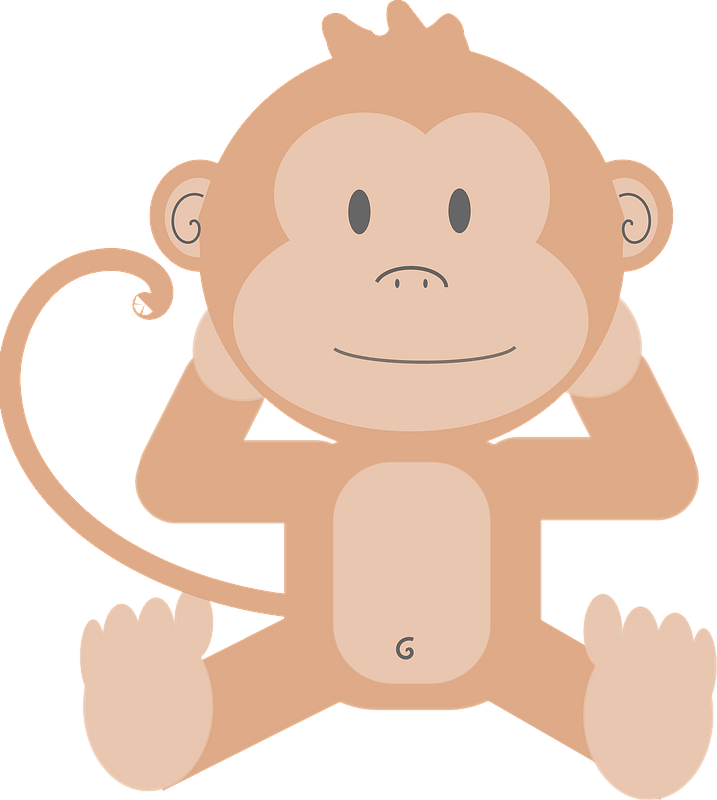Cute monkey chilling