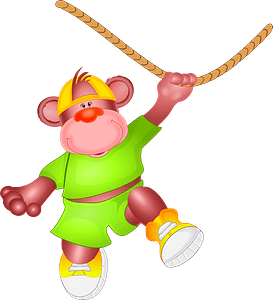 Monkey sportsman hanging from rope