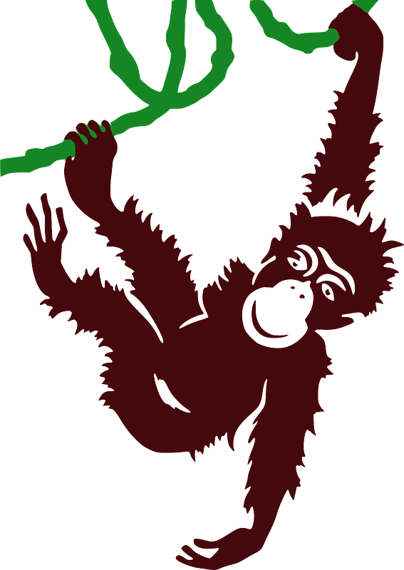 Monkey hanging on a vine