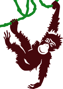 Monkey hanging on a vine