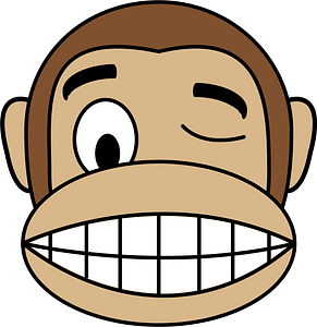 Winking monkey face