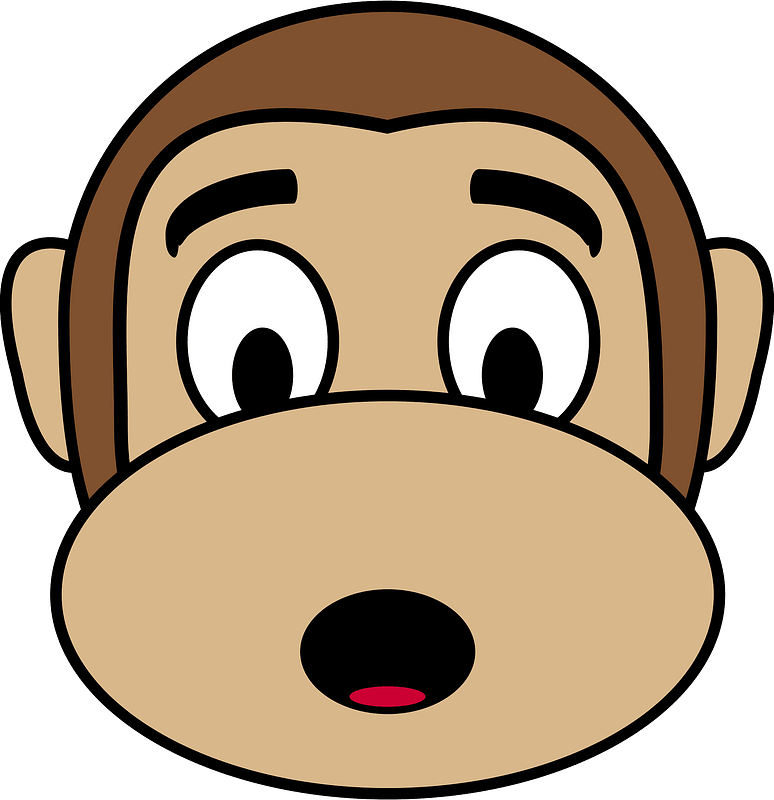 Surprised monkey face