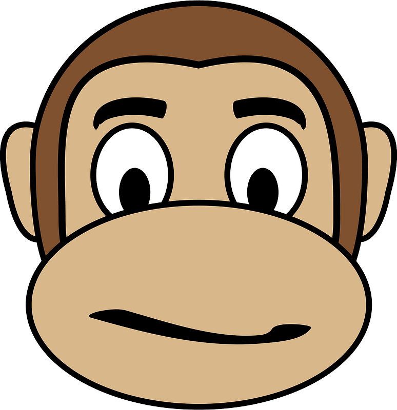 Focused monkey face