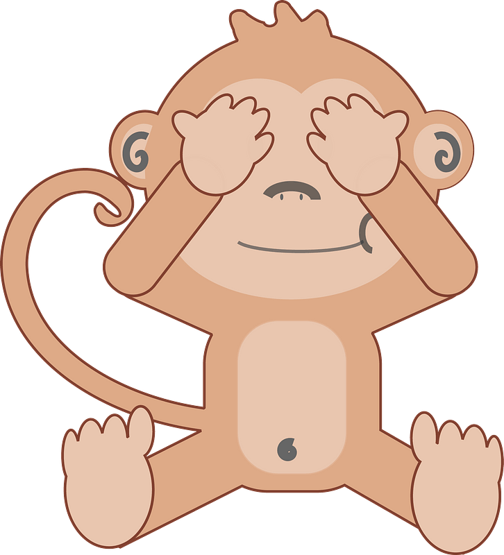 Monkey see no evil