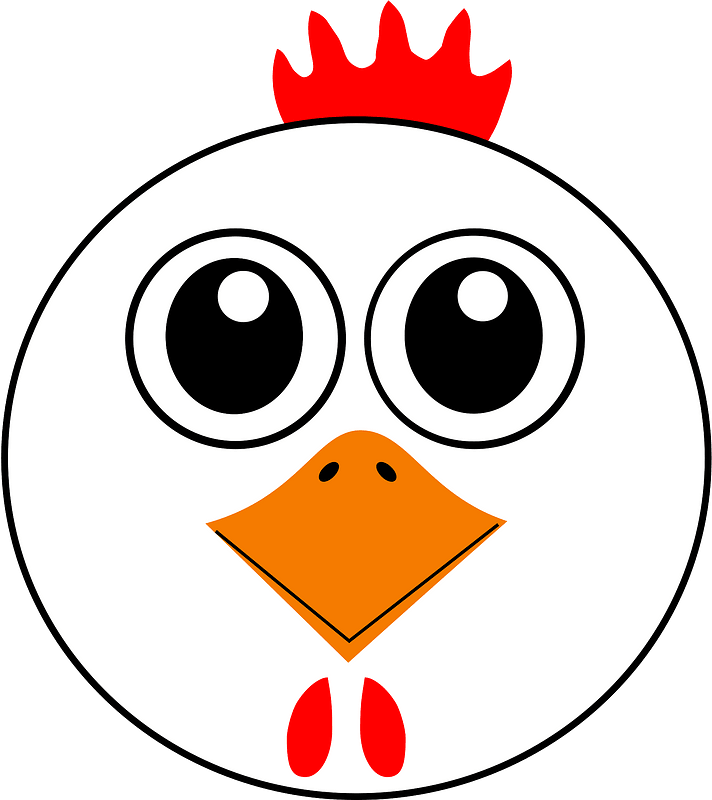 Funny chicken face