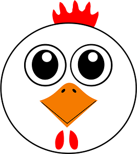 Funny chicken face