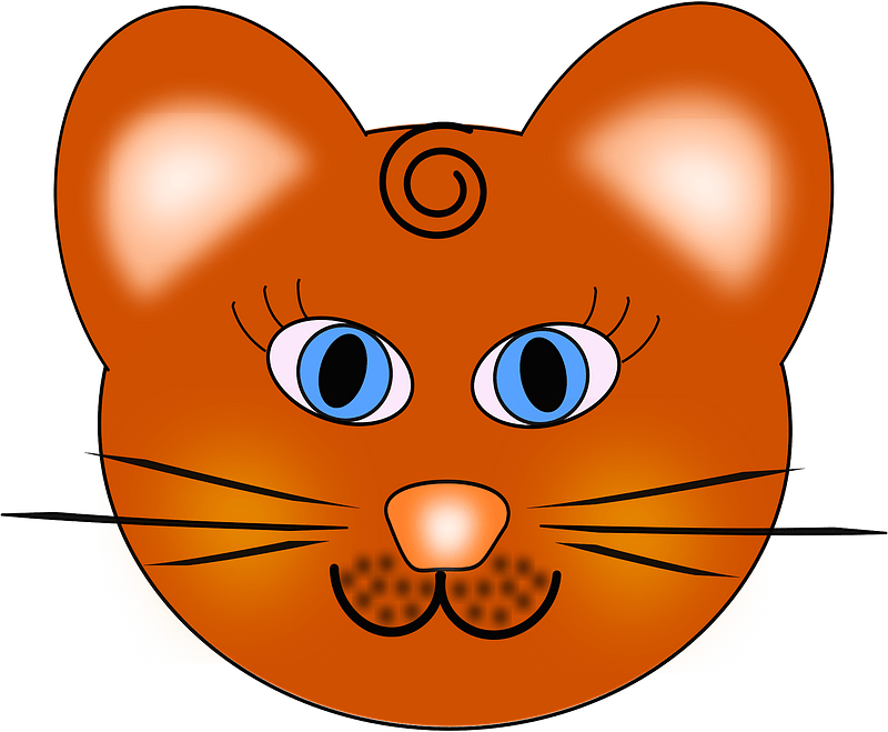 Round cat face with blue eyes