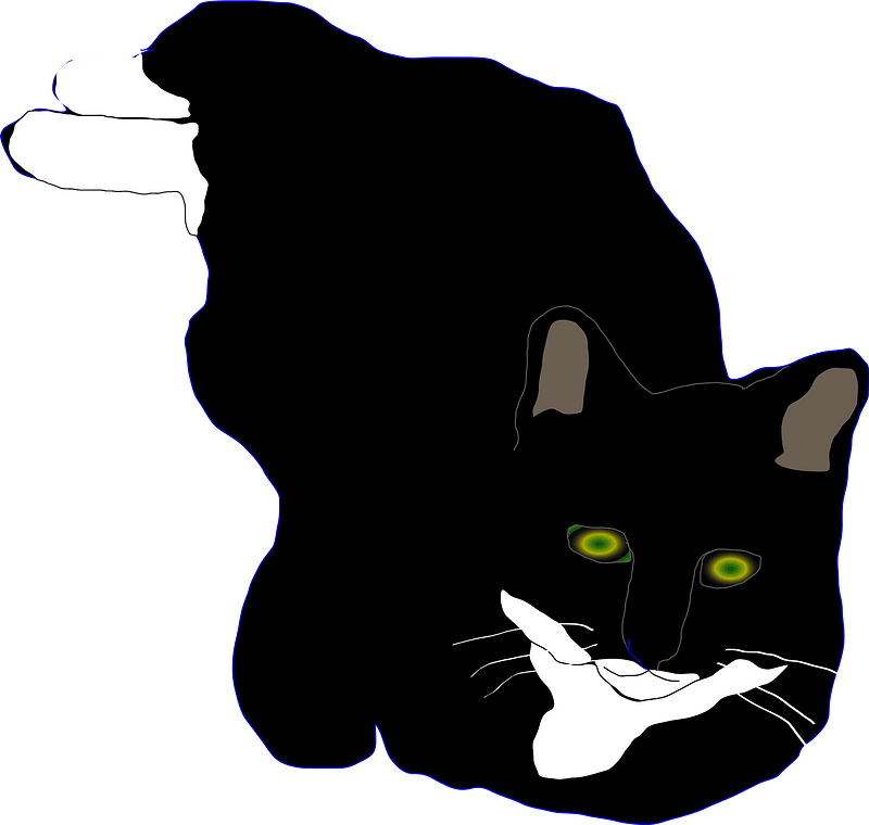 Relaxing black cat