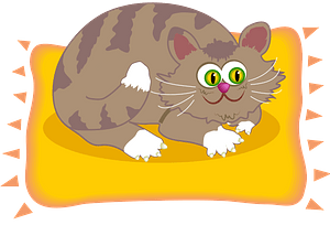 Cat on the mat