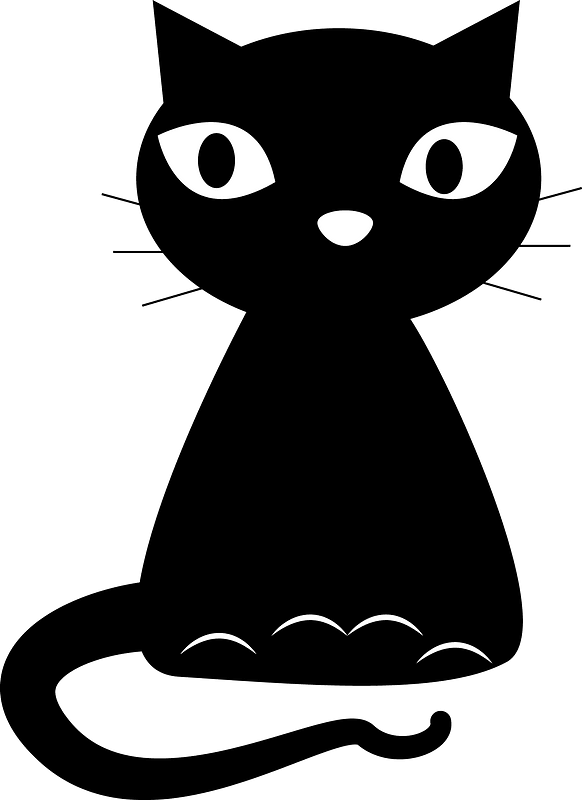 Black cat