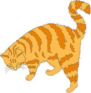 Ginger cat