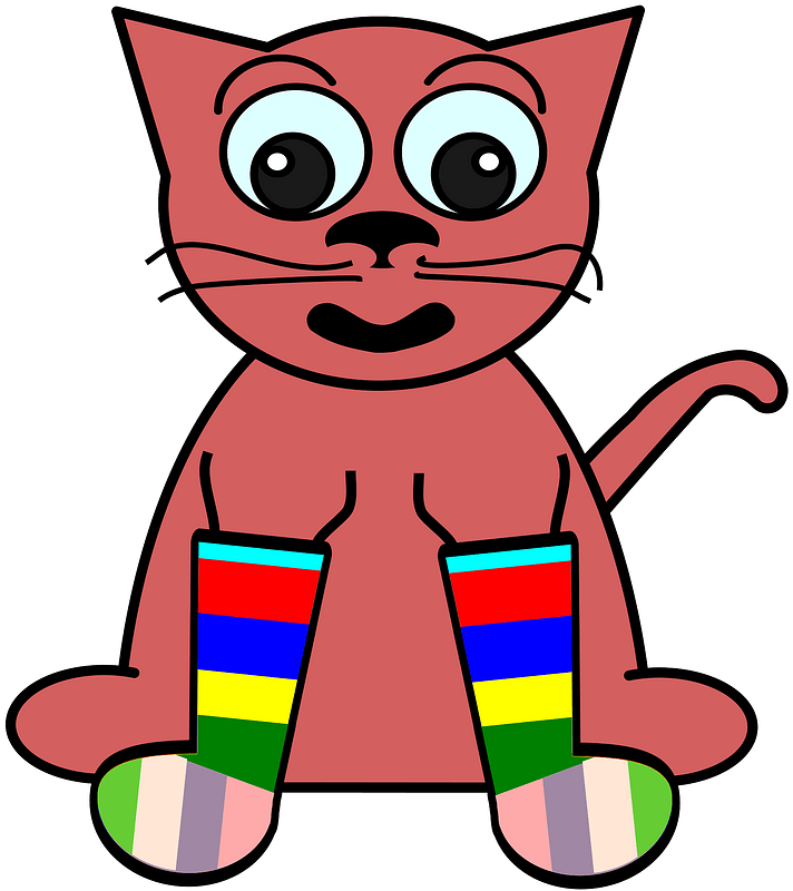 Cat in rainbow socks