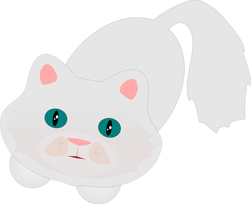 Cute fluffy cat