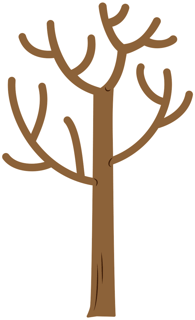 Tree no leaves