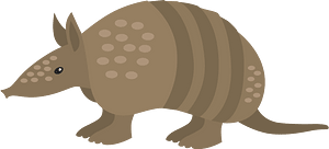 Armadillo