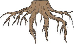 Tree stump with roots