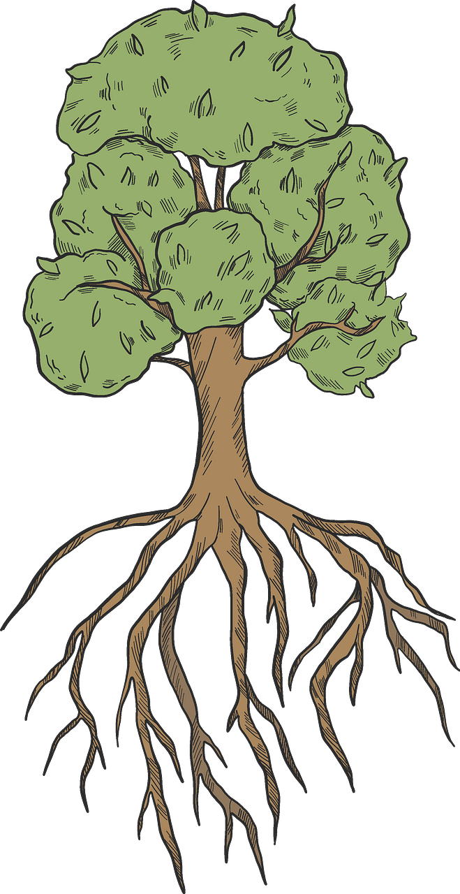 Árbol con Raíces