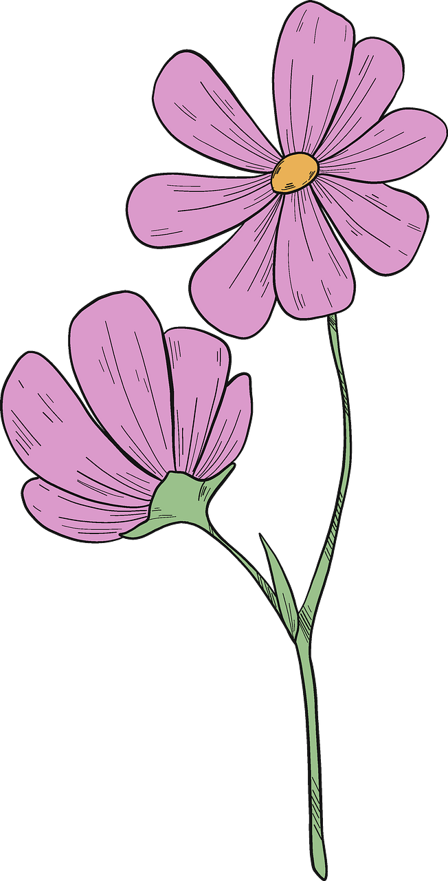 Wildflowers