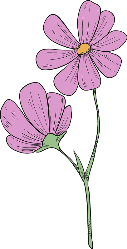 Wildflowers