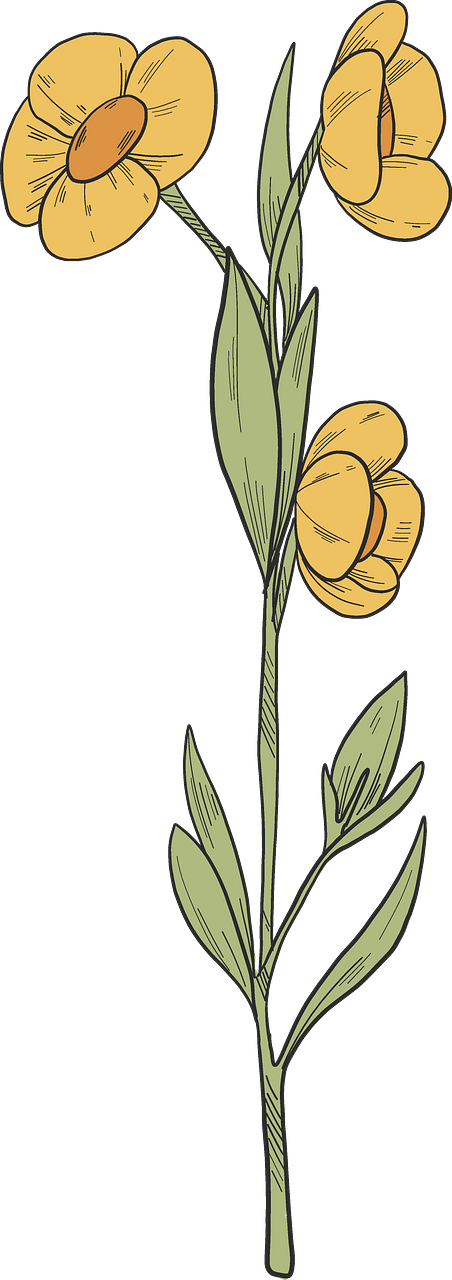Wildflowers