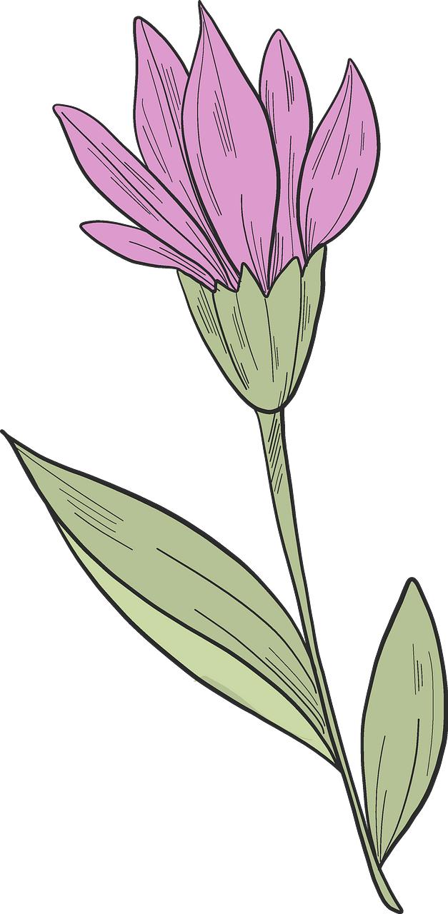 野生の花