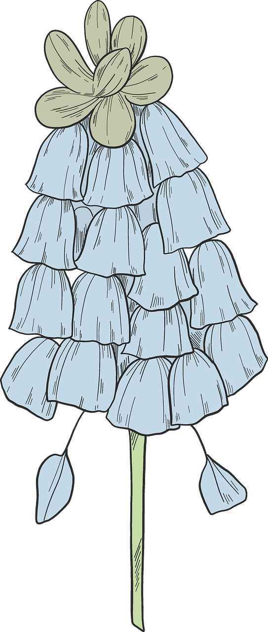 野生の花