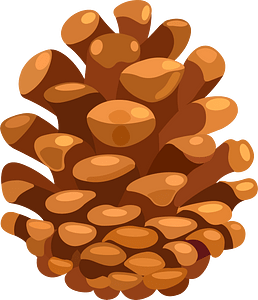 Pine cone - Free vector clipart images on creazilla.com