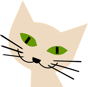 Green-eyed cat face