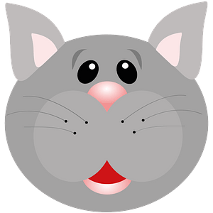 Surprised cat face