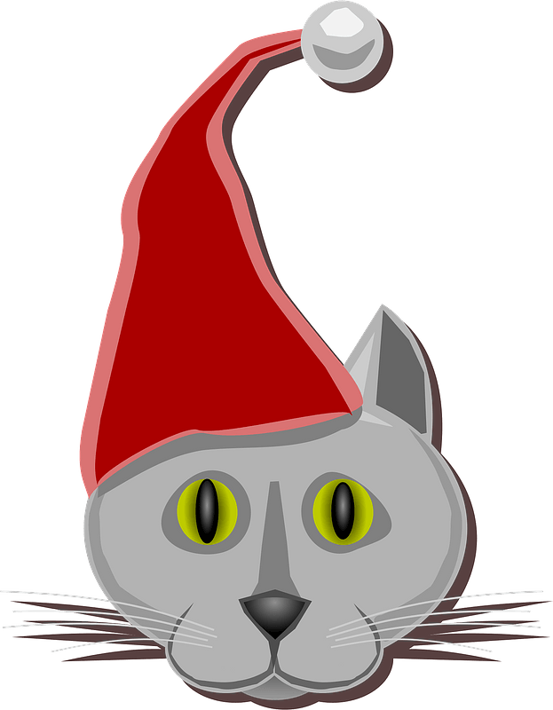 Cat face with Santa hat