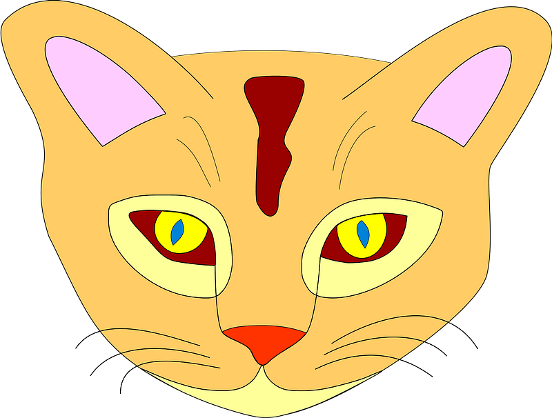 Colorful cat face