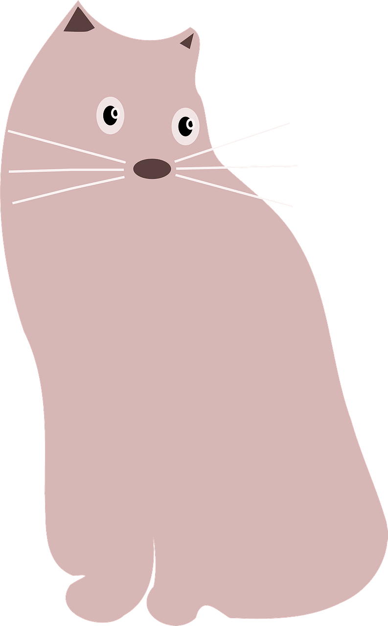 Pink cat
