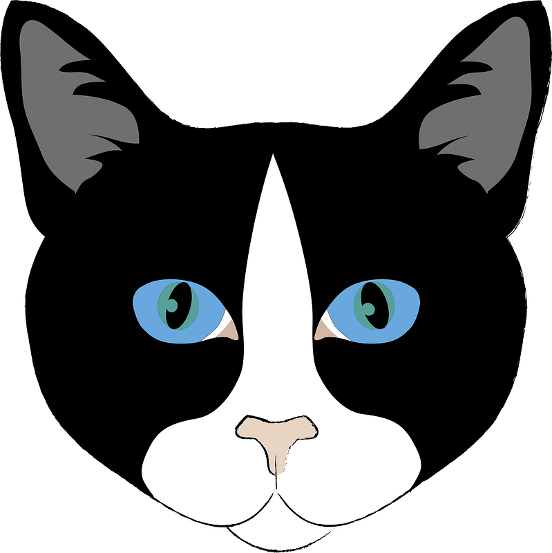Blue-eyed cat face