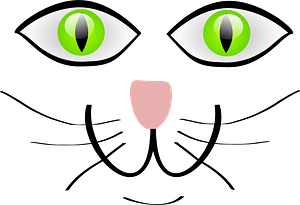 Cat face - Line art