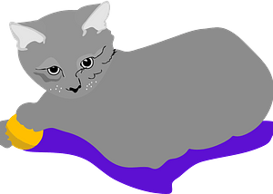 Cat on the mat
