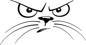 Unhappy cat face
