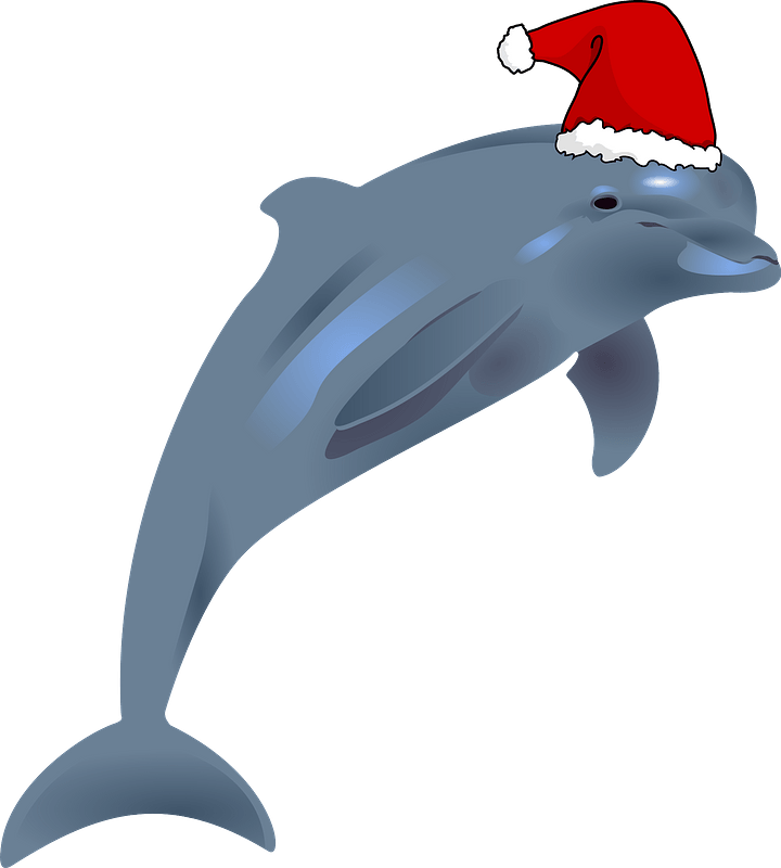 Dolphin with Santa hat