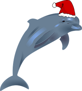 Dolphin with Santa hat