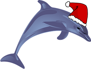 Dolphin with Santa hat