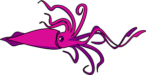Pink Squid