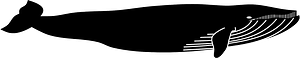 Whale