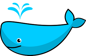 Cute whale