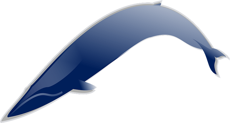 Whale