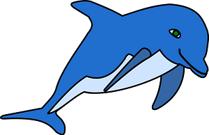 Cute dolphin