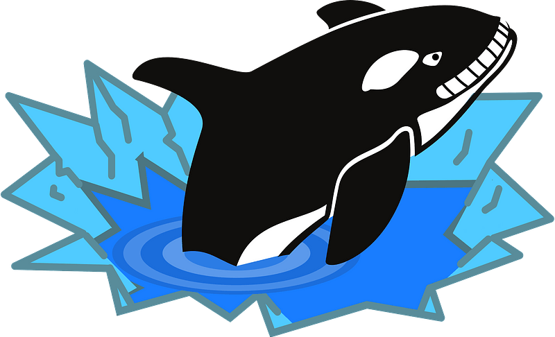 Evil orca smiling